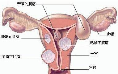 第394页