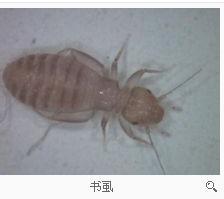 第415页