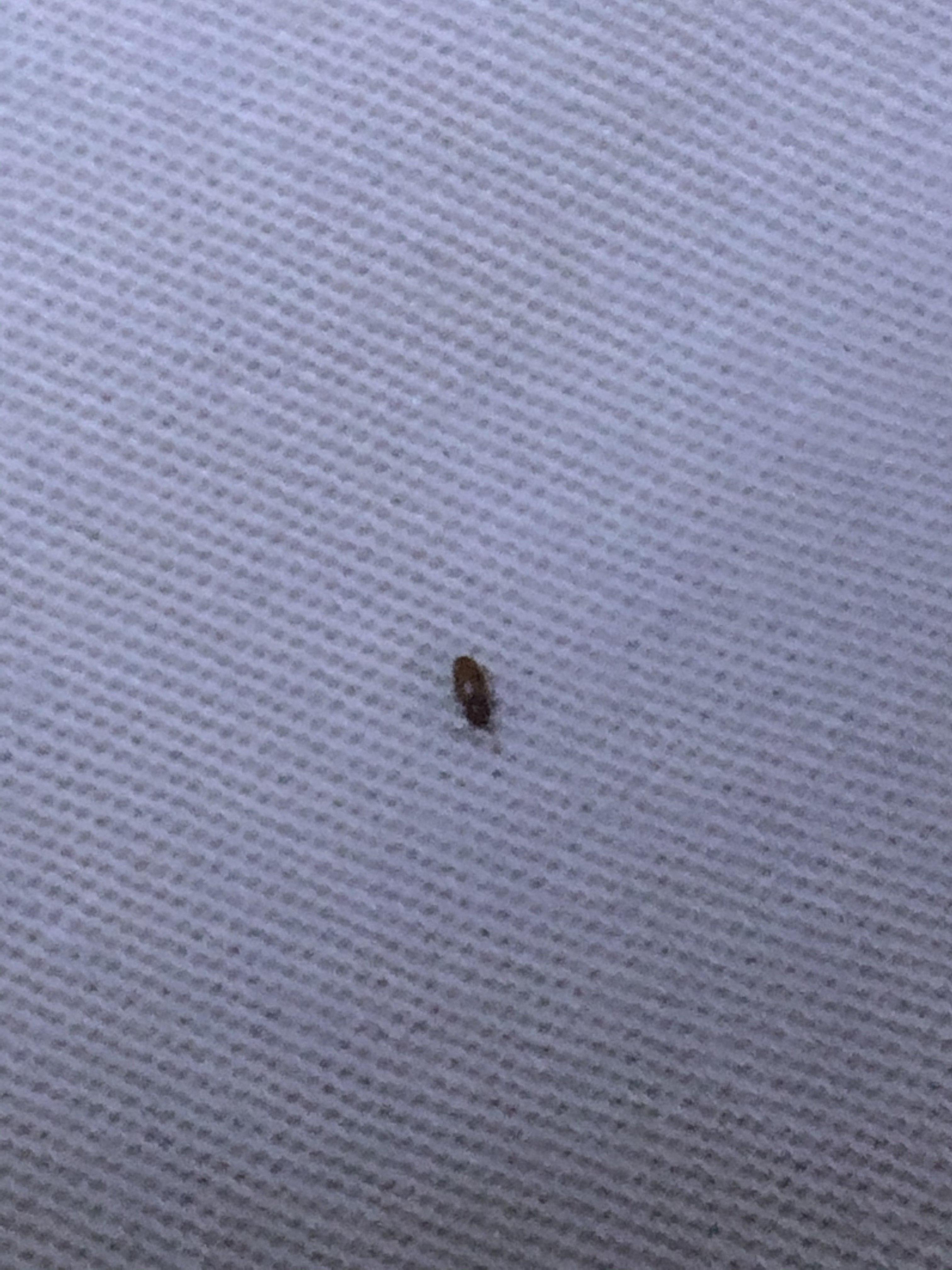 第330页