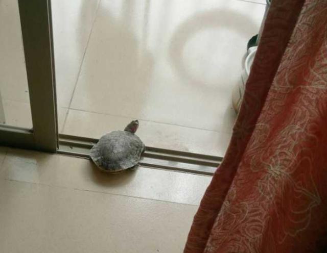第286页
